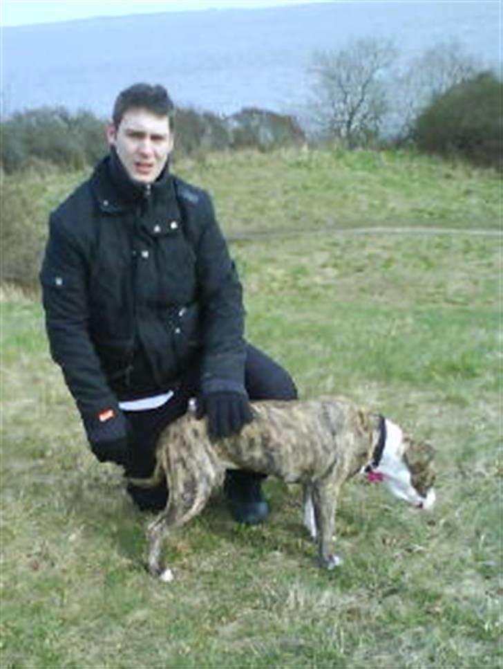 Blanding af racer Diva billede 8