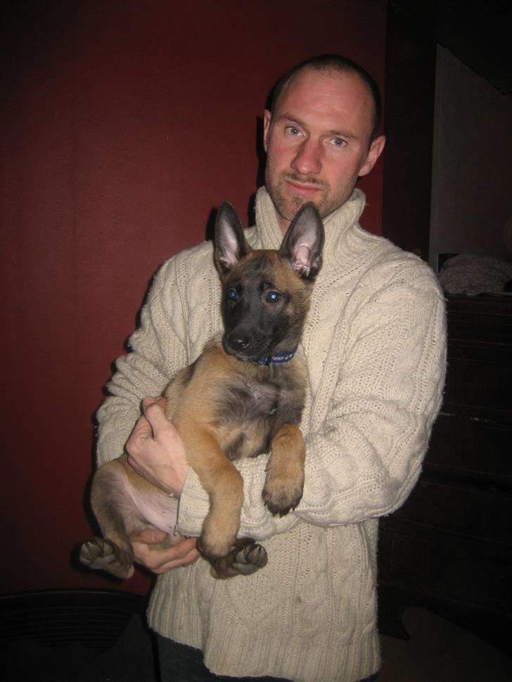 Malinois Champ de coesi billede 4