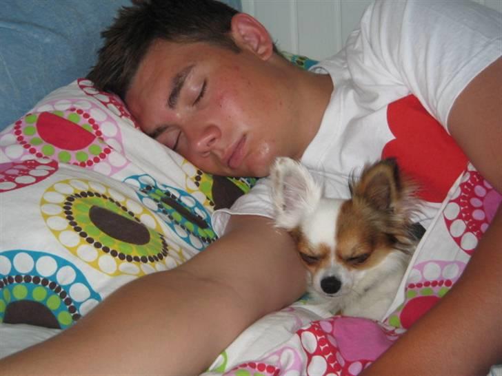 Chihuahua Birkedals Mickey R.I.P - Far er den bedste <3 billede 6