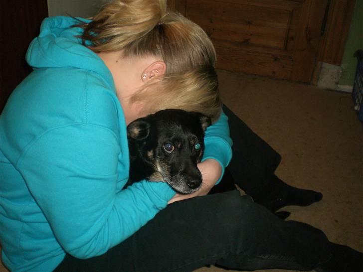 Blanding af racer Jensen billede 5