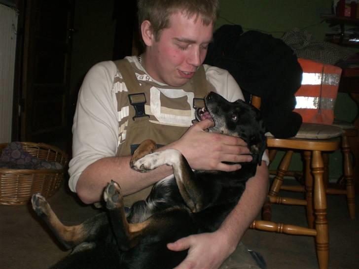 Blanding af racer Jensen billede 8