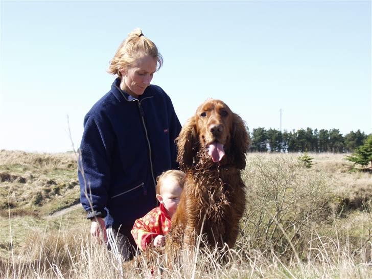 Cocker spaniel Ibber - Mors hund (: billede 9