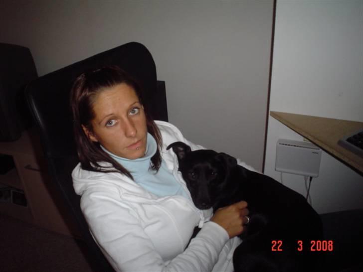 Blanding af racer Bella billede 15