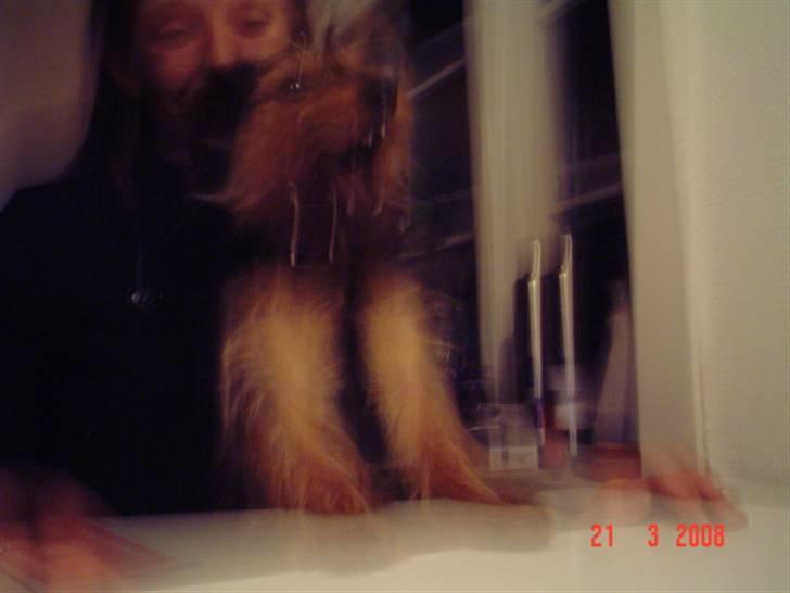 Blanding af racer leisbeth billede 12