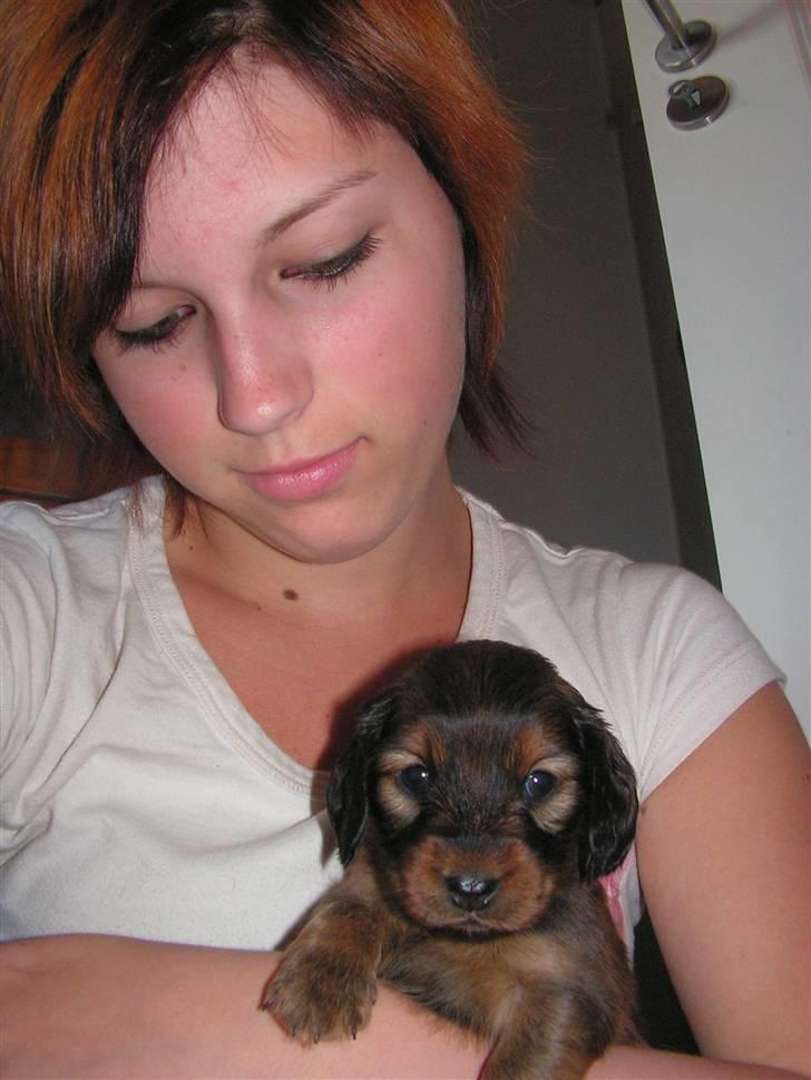 Gravhund chita - mig og min dolley billede 10