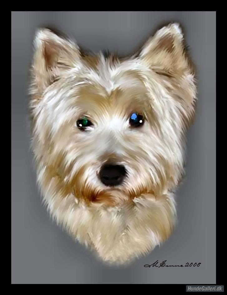 West highland white terrier Frodo - Supersmuk tegning lavet af *Den Blå Lil Laban & Den Sorte Banditræv*s moar*.. 1000 tak for det ;o) billede 10