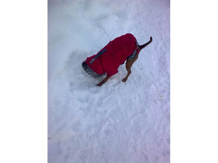 {{currentPhoto.altText}} billede {{currentPhoto.number}}