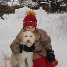 Lagotto romagnolo Luna