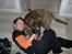 Blanding af racer Baloo mastiff / boxer - Elsker børn :b