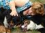 Berner sennenhund Balou - (død 2011) - Vi råhygger lige en stund.....