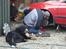 Berner sennenhund Balou - (død 2011) - Se "mor", jeg hjælper "far" med bilen...