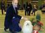 Bichon havanais Bailey <3 - Baileys far . Mest vindende hund i Danmark for Bichon Havanais <3
