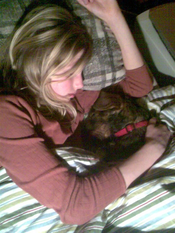 Gravhund Ofelia <3 billede 8