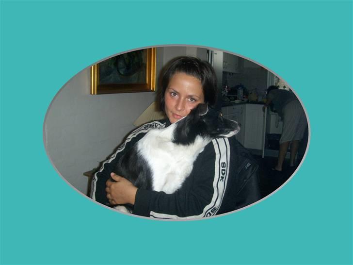 Blanding af racer Freja billede 14