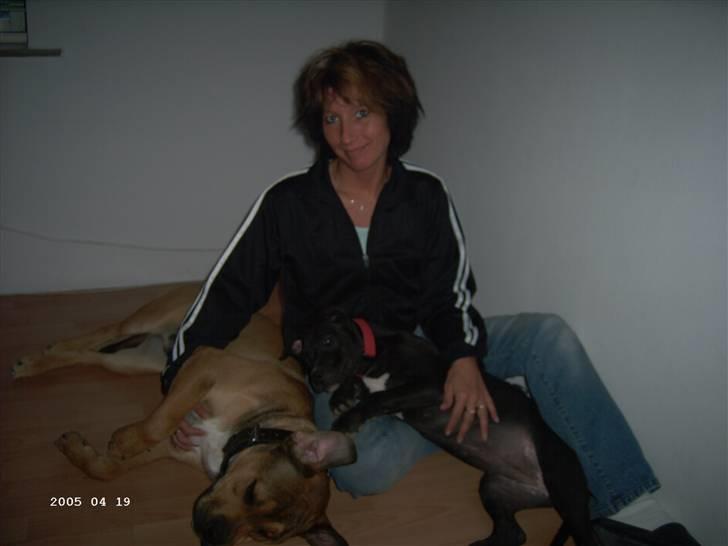 Blanding af racer Dolli billede 20