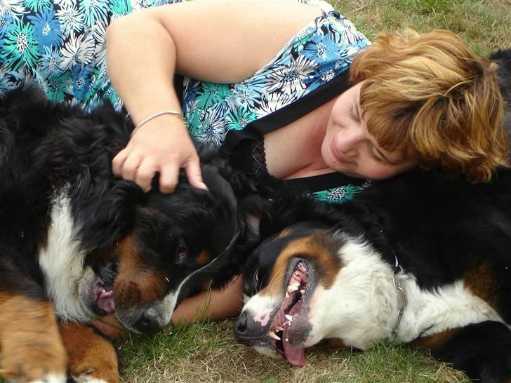 Berner sennenhund Balou - (død 2011) - Vi råhygger lige en stund..... billede 5