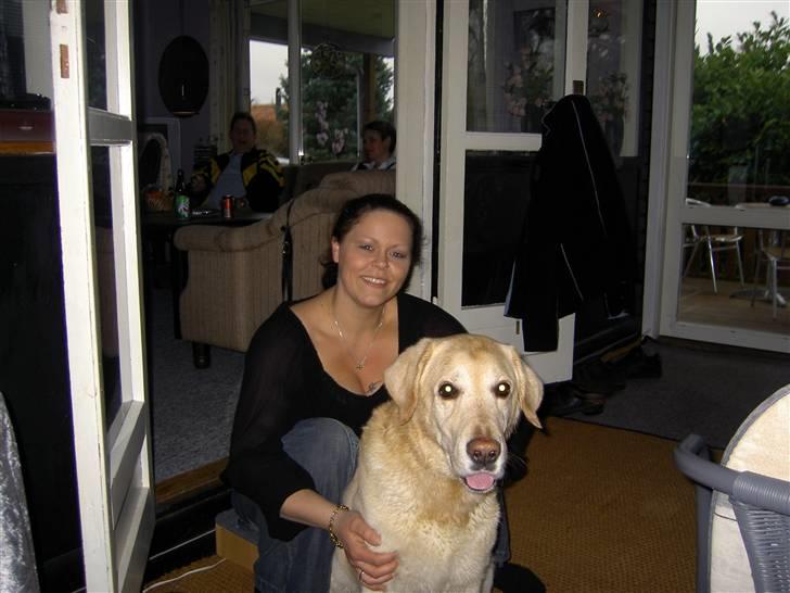 Blanding af racer Simba R.I.P - sanne og simba i sommerhus.. ynglingsstedet for begge to! billede 7