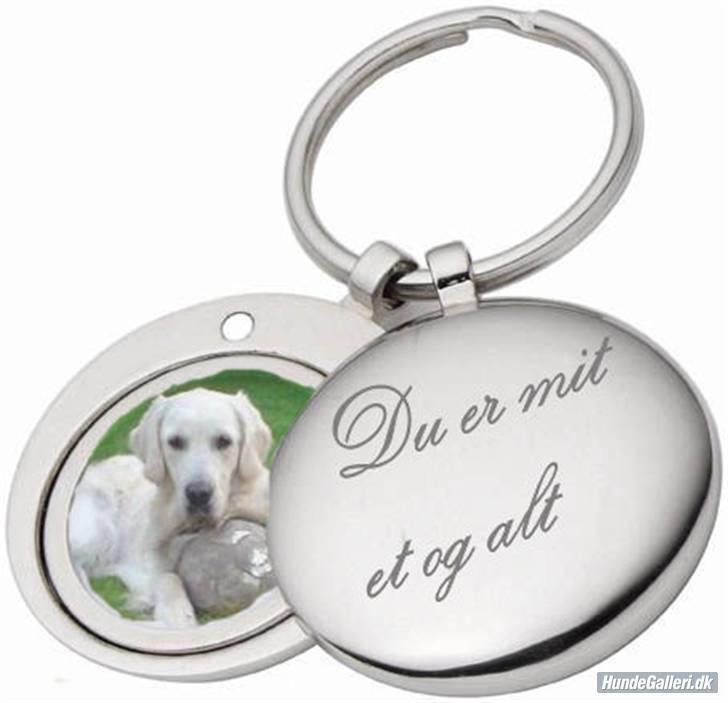 Golden retriever Balto billede 18