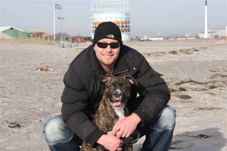 Blanding af racer CHARLIE billede 8