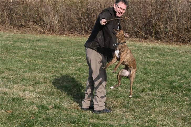 Blanding af racer Chili - Hvem mon hygger sig mest? Min far?? billede 7