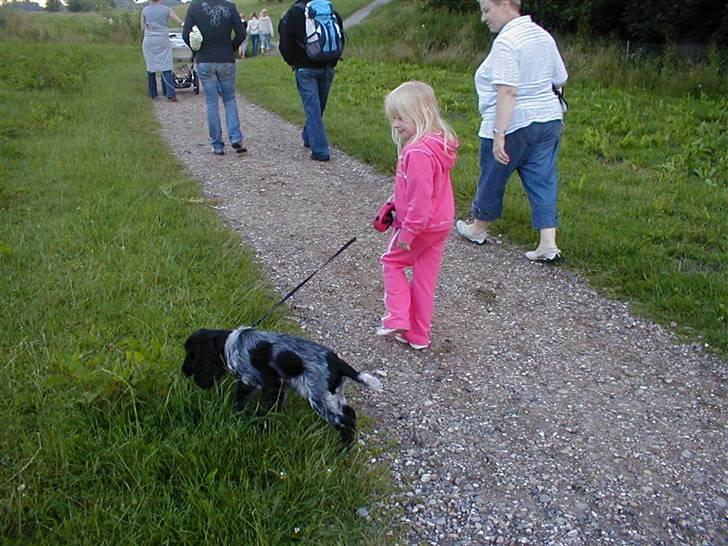 Cocker spaniel Chianti (Fisen) R.I.P - Mor´s niece bliver så stolt når hun får lov til at gå tur med mig... Men mormor holder øje med at der ikke sker mig noget billede 12