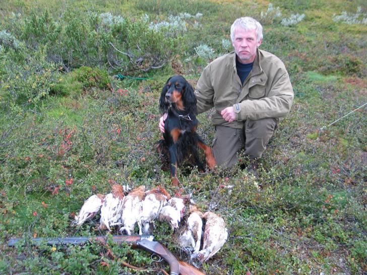 Gordon setter Aaens Diana (Lucky) - Far og Nuffer<3 Nord Sverige 2006 billede 6
