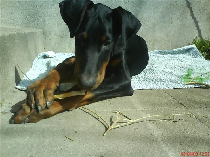 {{currentPhoto.altText}} billede {{currentPhoto.number}}