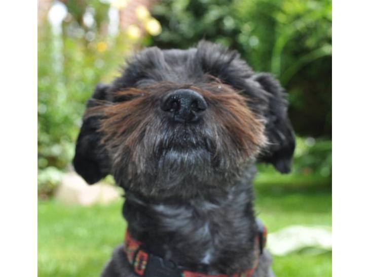 {{currentPhoto.altText}} billede {{currentPhoto.number}}