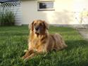 Blanding af racer Cindy R.I.P. <3