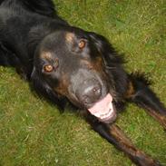 Blanding af racer Tyson