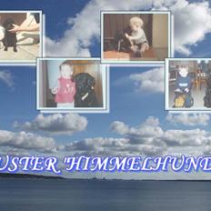 Blanding af racer Buster R.I.P