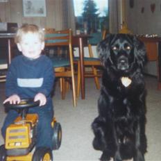 Blanding af racer Buster R.I.P