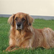 Blanding af racer Cindy R.I.P. <3