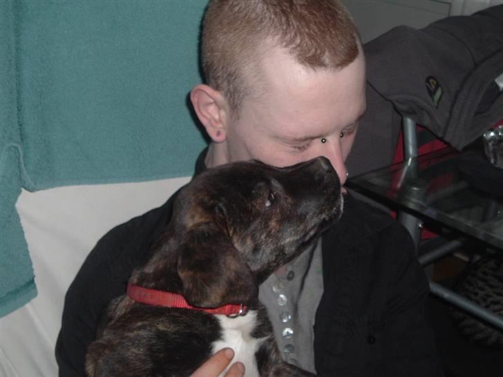 Blanding af racer Izak billede 11