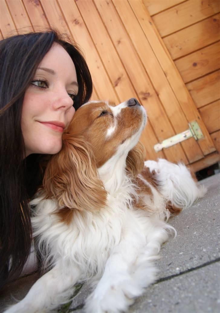 Cavalier king charles spaniel Simba R.I.P <3 - Mig & Simba, sommer 09 :) billede 9