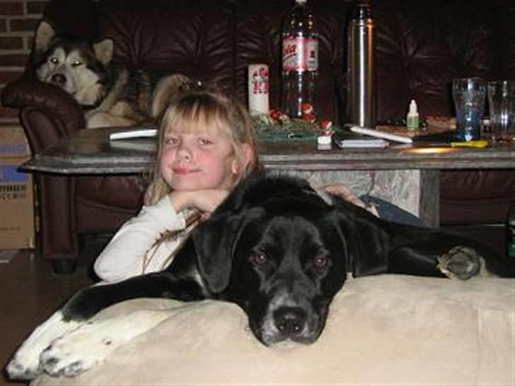 Blanding af racer charlie - hygge med tenna når de ser tv billede 3