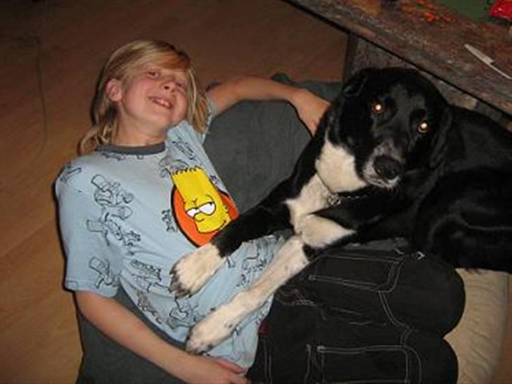 Blanding af racer charlie - bøvle/hyggetur med henrik billede 5