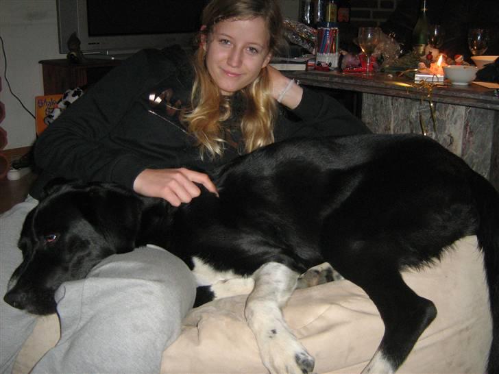 Blanding af racer charlie - total hygge med nanna billede 6