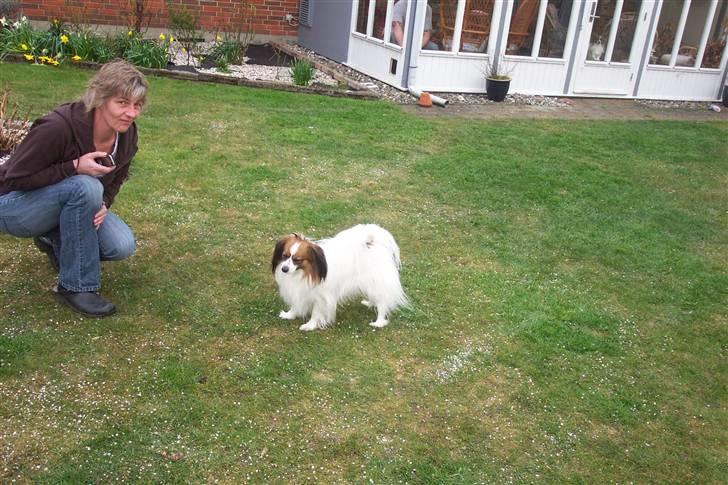 Phalene BS - min menneske mor og jeg billede 3