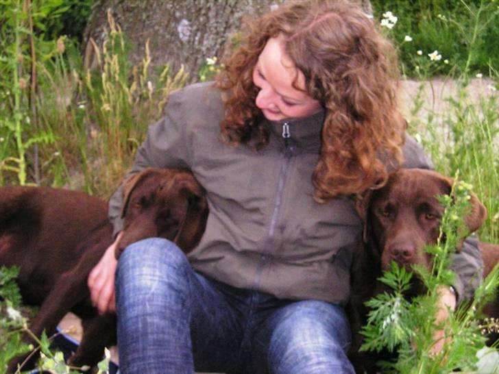 Labrador retriever Malthe - Sommer 2007 - Malthe og hans bror Balder billede 5