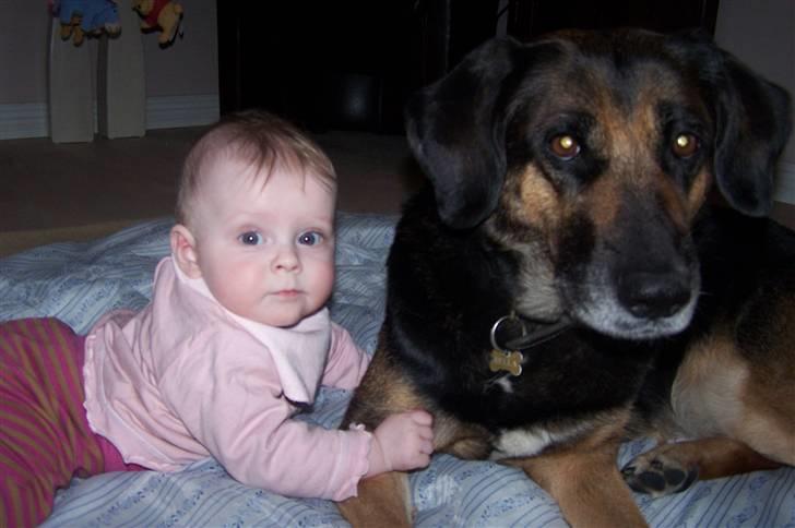 Blanding af racer Bella - Bella og Marikke ligger lige og hygger ;o) billede 14