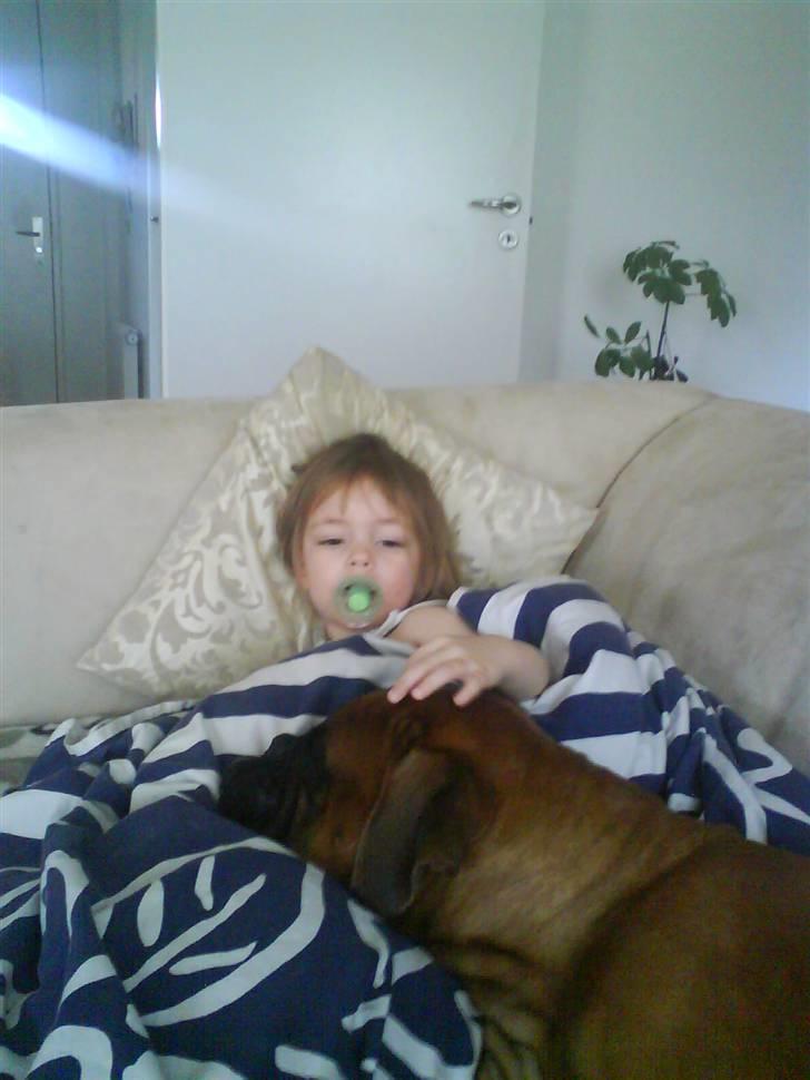 Boxer Rocko ( død 2014 ) - Min søster Cille og mig billede 6