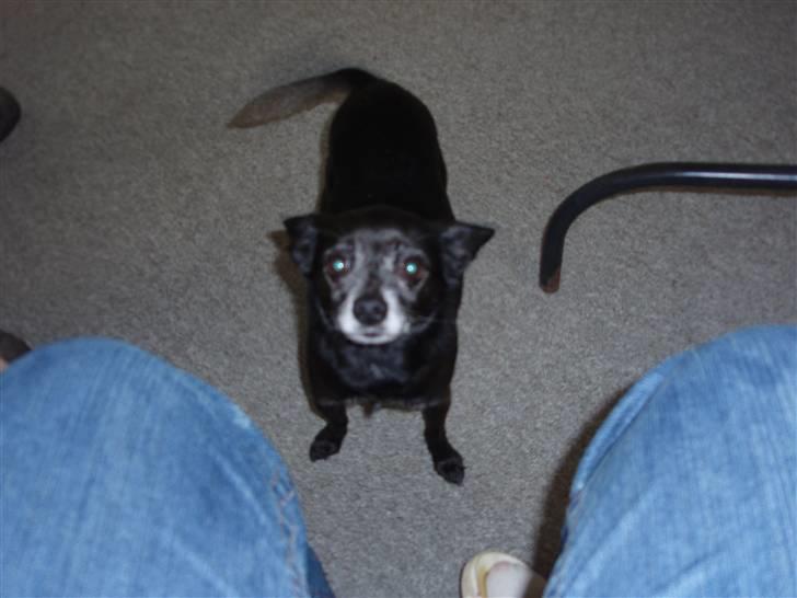 Blanding af racer Conrad billede 9