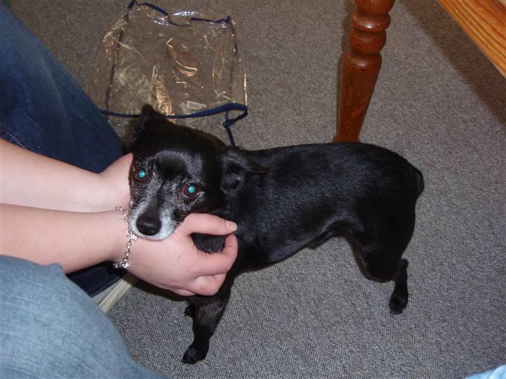 Blanding af racer Conrad billede 12