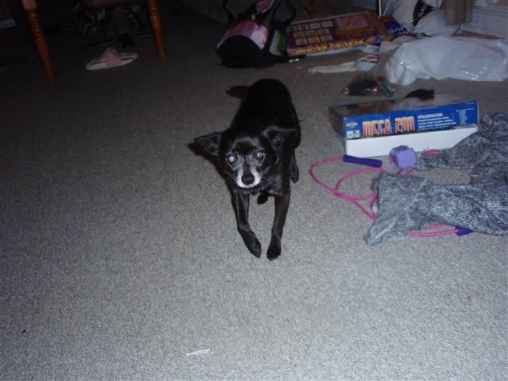 Blanding af racer Conrad billede 13