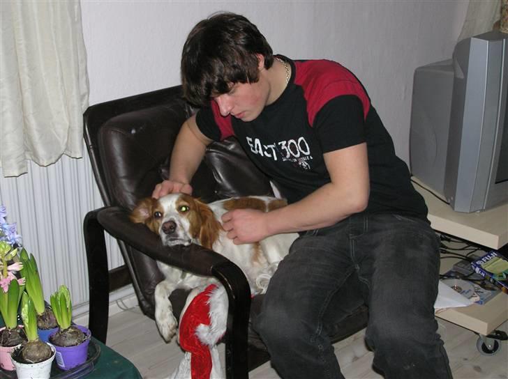 Blanding af racer Bilbo - Uhh der var en der gad klø mig bag øret :P billede 4