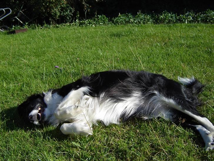 Blanding af racer lady - er jeg ikke fin billede 5