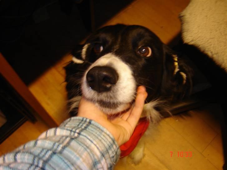 Blanding af racer lady - kig lige den anden vej tak.. billede 7