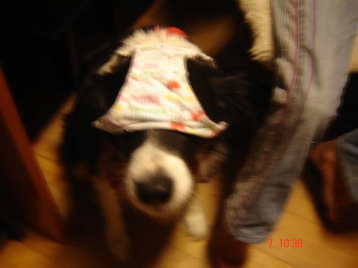 Blanding af racer lady - christine hvad laver du. billede 8