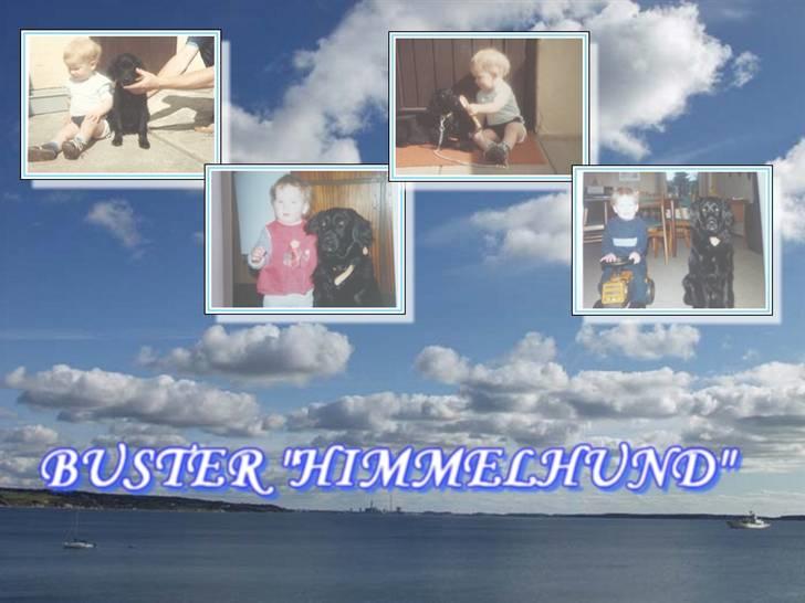 Blanding af racer Buster R.I.P billede 1